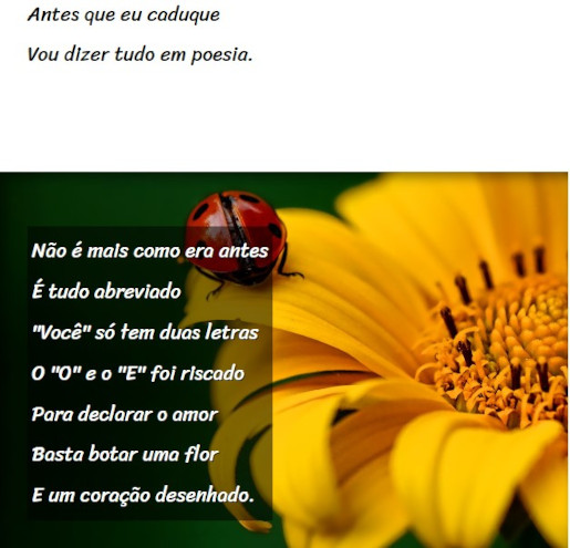 capa do projeto